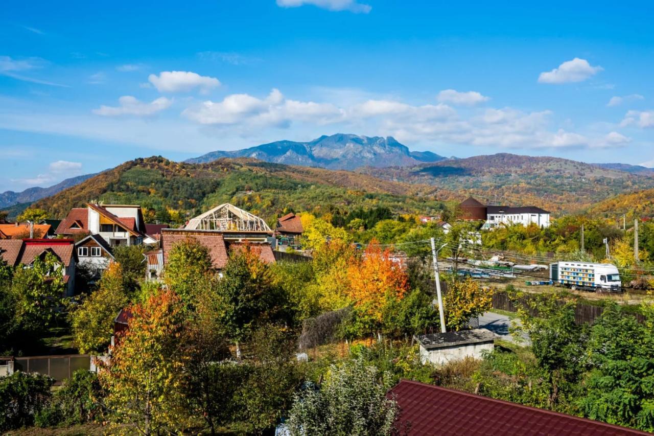 Călimăneşti Vila Phoenix מראה חיצוני תמונה